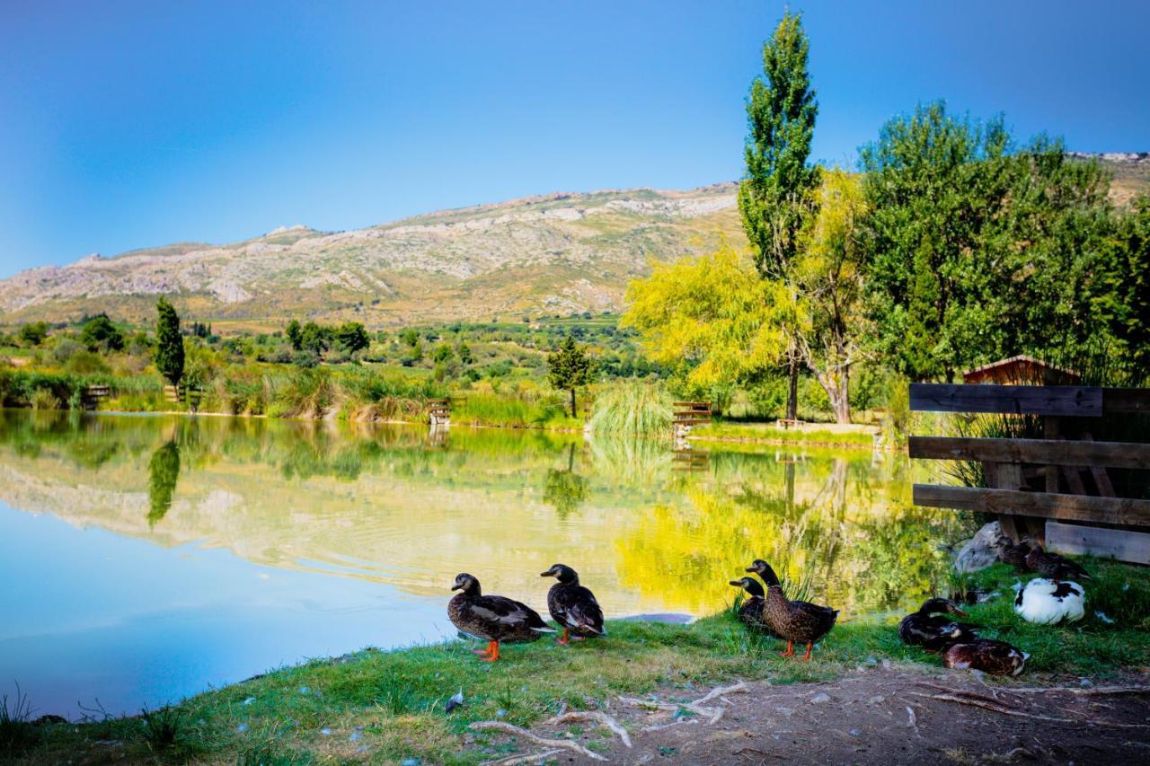 Camping La Peiriere Tuchan Екстер'єр фото