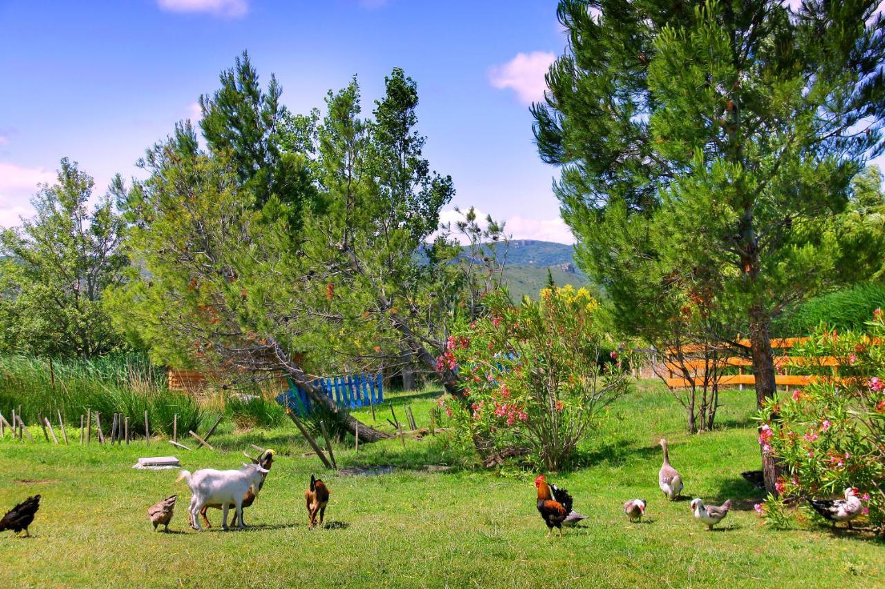 Camping La Peiriere Tuchan Екстер'єр фото